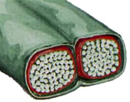 p-category